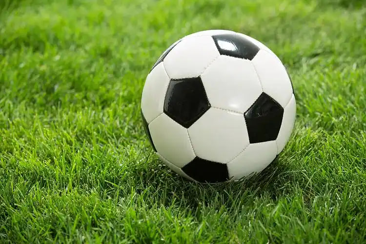 任九比分500彩票二维码